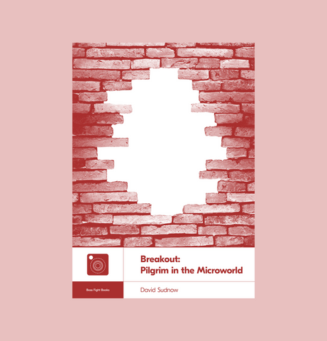 Breakout: Pilgrim in the Microworld by David Sudnow