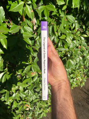 The Legend of Zelda: Majora's Mask by Gabe Durham