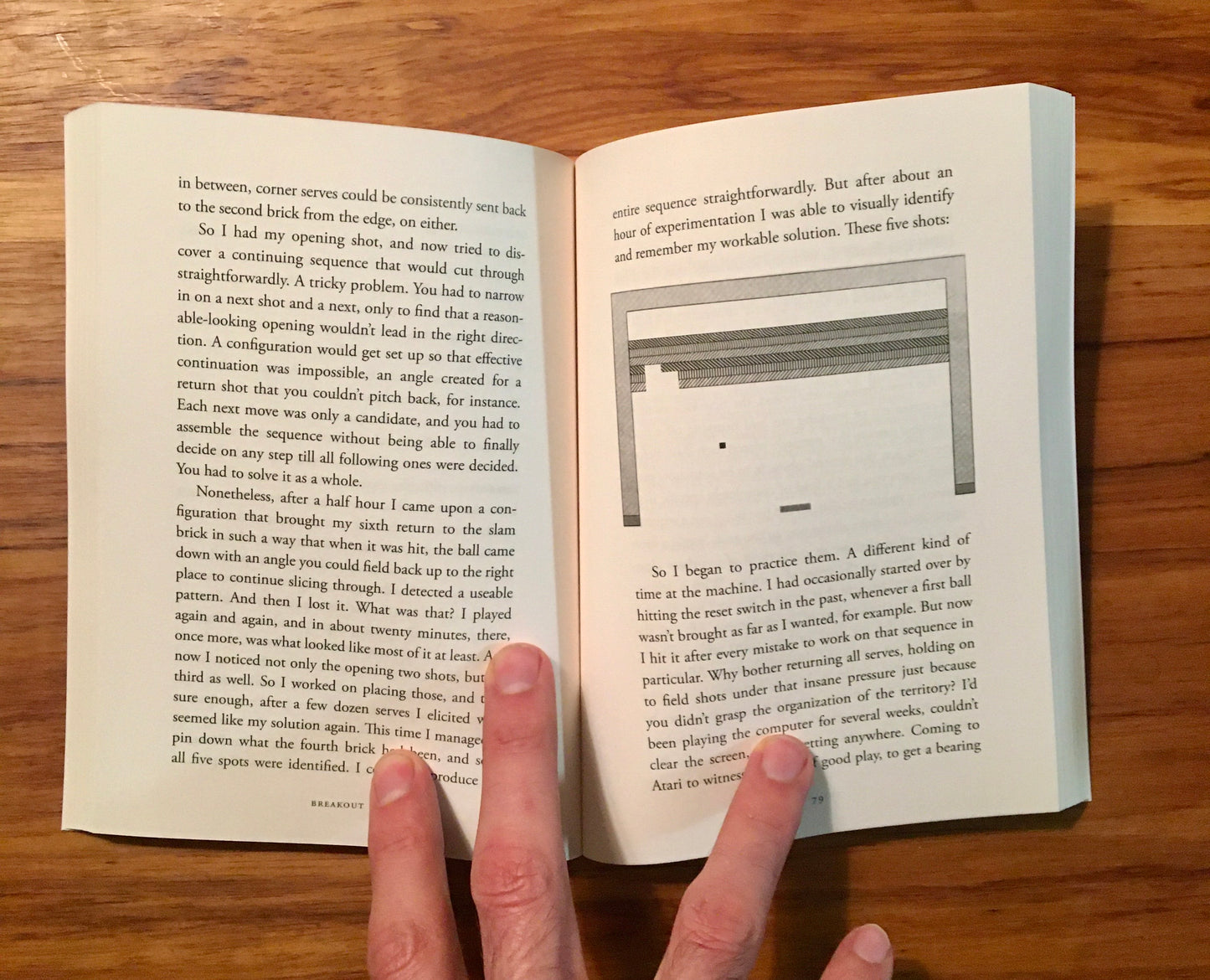Breakout: Pilgrim in the Microworld by David Sudnow