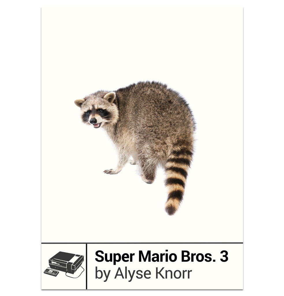 Super Mario Bros. 3 by Alyse Knorr