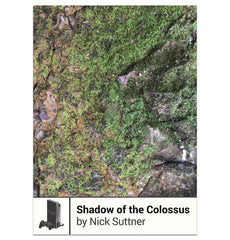 Shadow of the Colossus by Nick Suttner